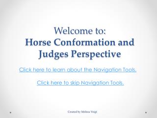 Welcome to: Horse Conformation and Judges Perspective