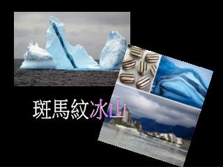 斑馬紋 冰山
