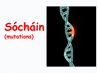 Sócháin (mutations)