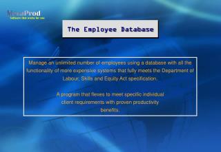 The Employee Database