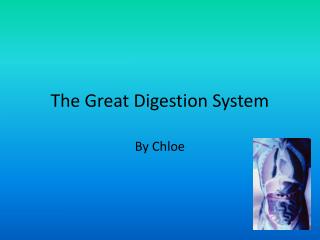 The Great Digestion System