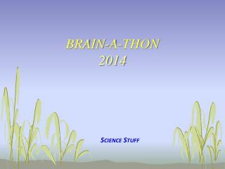 Brain-A-Thon 2014