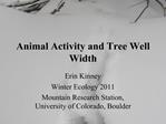 Animal Activity and Tree Well Width