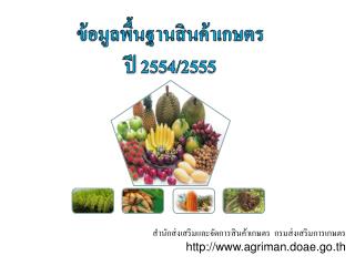 ข้อมูลพื้นฐานสินค้าเกษตร ปี 2554/2555
