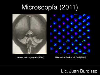 Hooke, Micrographia (1664) Mikeladze-Davi et al , Cell ( 2005)