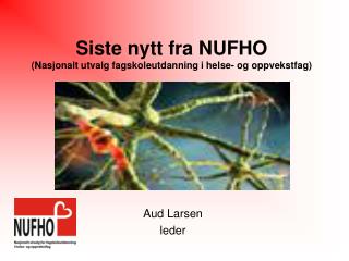 Siste nytt fra NUFHO (Nasjonalt utvalg fagskoleutdanning i helse- og oppvekstfag)