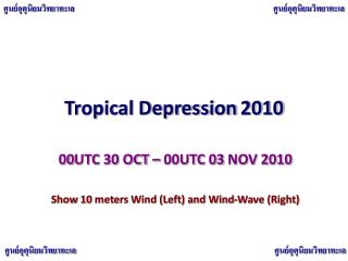 Tropical Depression 2010