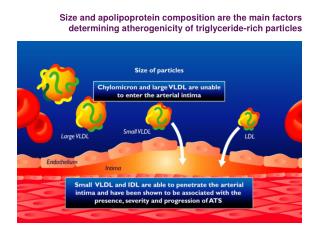 Apo C-III modulates VLDL