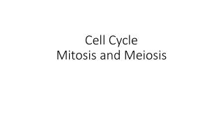 Cell Cycle Mitosis and Meiosis