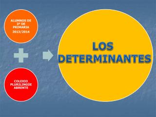 LOS DETERMINANTES