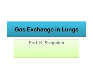 Gas Exchange in Lungs