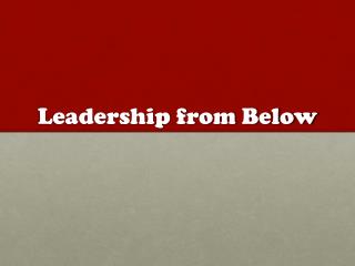 Leadership from Below