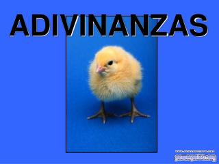 ADIVINANZAS