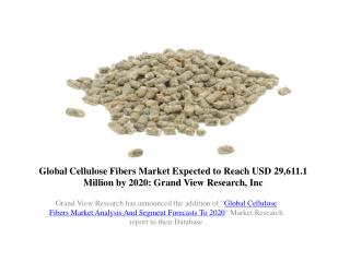 Global Cellulose Fibers Market Outlook to 2020