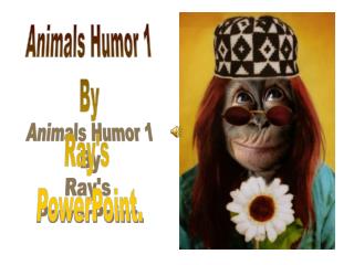 Animals Humor 1 By Ray's PowerPoint.