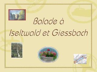 Balade à Iseltwald et Giessbach