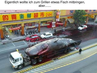 Eigentlich wollte ich zum Grillen etwas Fisch mitbringen, aber.......