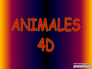 ANIMALES 4D