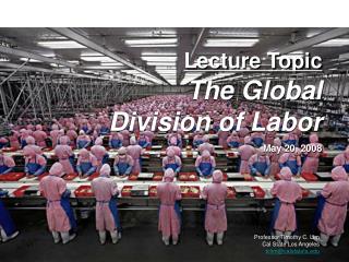 Lecture Topic The Global Division of Labor May 20, 2008