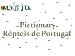 Atividade11_PictionaryRépteis