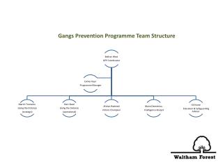 Gangs Prevention Programme Team Structure