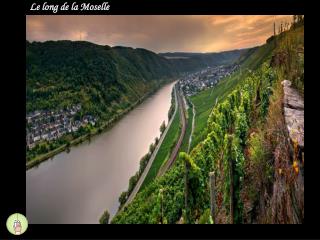 Le long de la Moselle