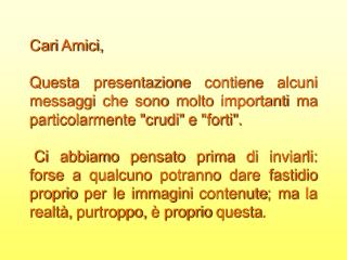 Cari Amici,