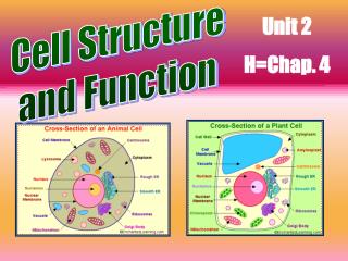 Unit 2 H=Chap. 4