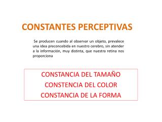 CONSTANTES PERCEPTIVAS