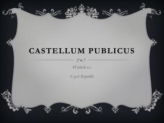 Castellum publicus