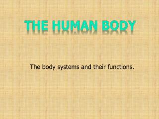 The body systems and their functions.
