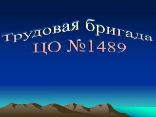 Трудовая бригада ЦО №1489