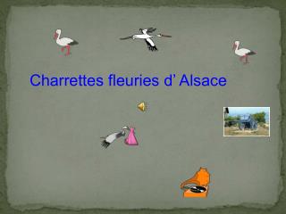 Charrettes fleuries d’ Alsace