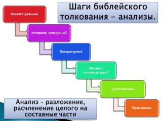 Шаги библейского толкования - анализы.