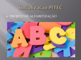 Socialização PITEC