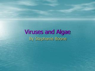 Viruses and Algae