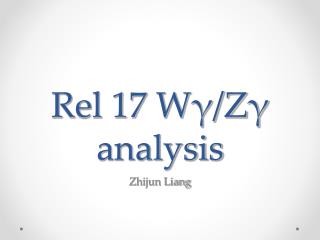 Rel 17 Wγ/Zγ analysis