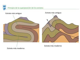 Principio de la superposición de los estratos