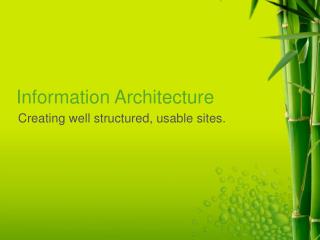 Information Architecture