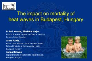 The impact on mortality of heat waves in Budapest, Hungary