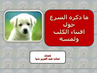 ما ذكره الشرع حول اقتناء الكلب ولمسه