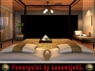 Powerpoint by Leeuwtje45.