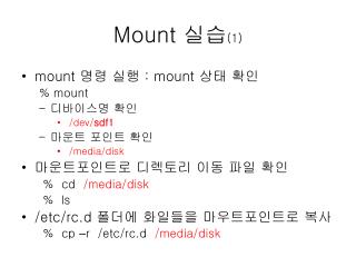 Mount 실습 (1)
