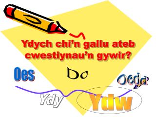 Ydych chi’n gallu ateb cwestiynau’n gywir?