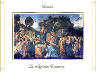 11 « Felices ustedes, cuando sean insultados y perseguidos , y cuando se los calumnie