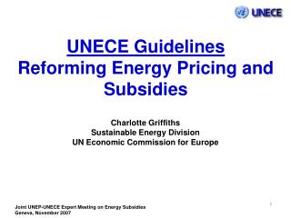 UNECE Guidelines Reforming Energy Pricing and Subsidies