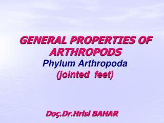 GENERAL PROPERTIES OF ARTHROPODS Phylum Arthropoda (jointed  feet) 