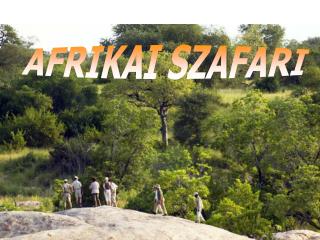 AFRIKAI SZAFARI