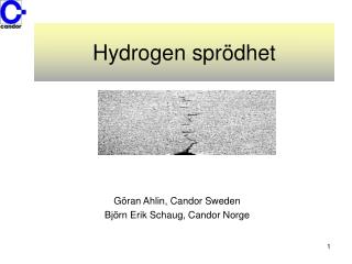 Hydrogen sprödhet