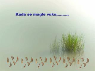 Kada se magle vuku……….